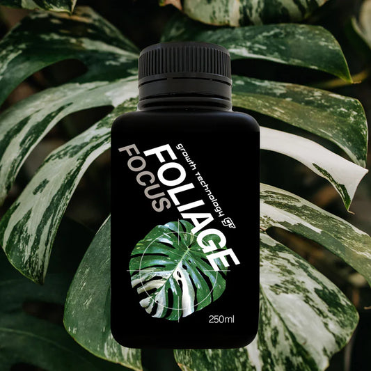 GT Foliage Focus 250ml