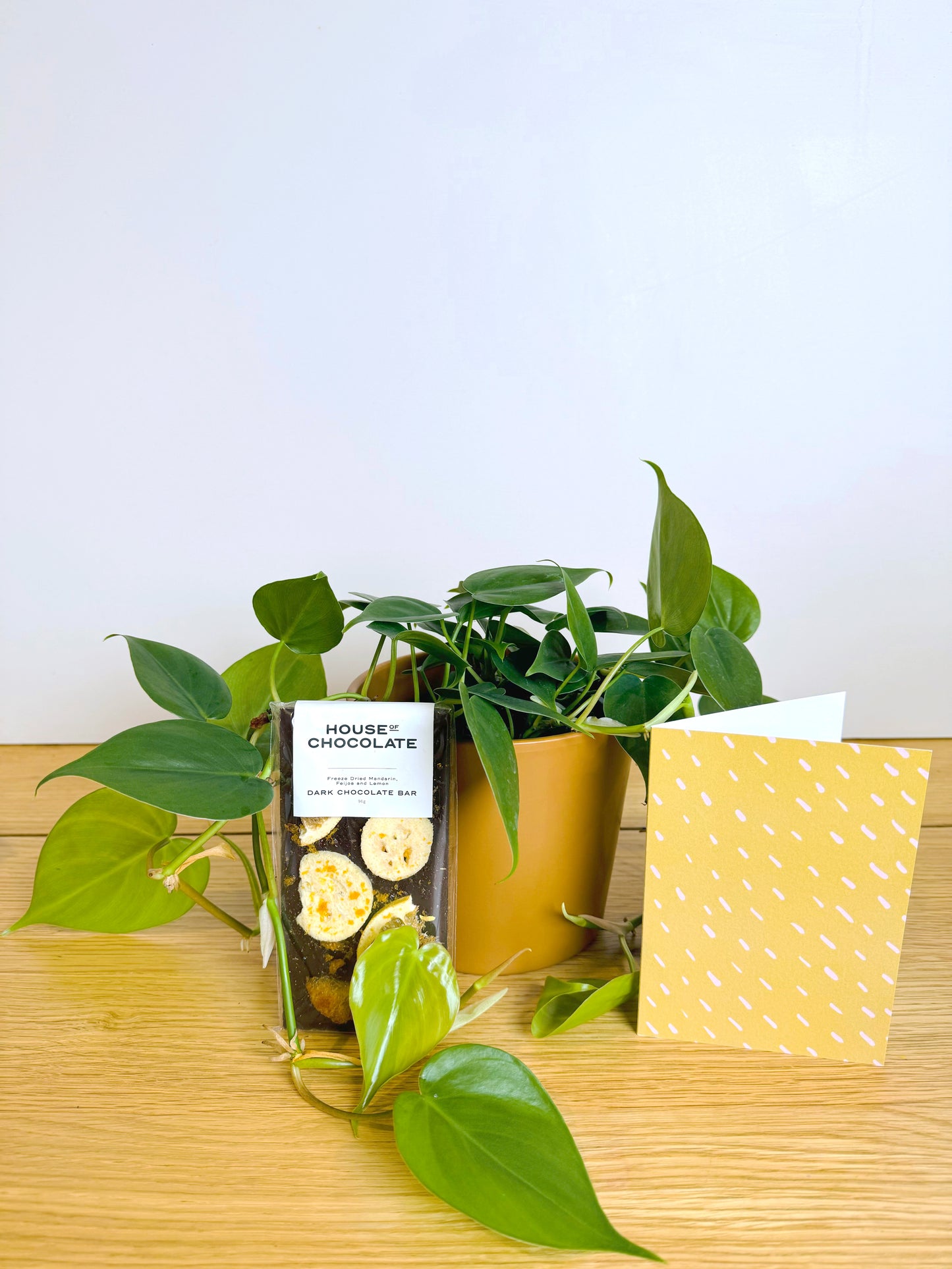 Citrus Sensation Gift Pack